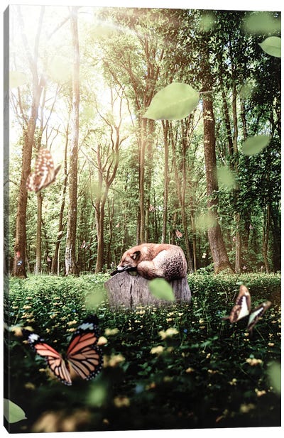 Red Fox Sleeping On A Tree Stump Canvas Art Print - Monarch Butterflies