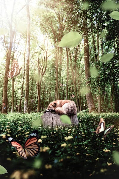 Monarch Butterflies: Red Fox Sleeping On A Tree Stump by GEN Z