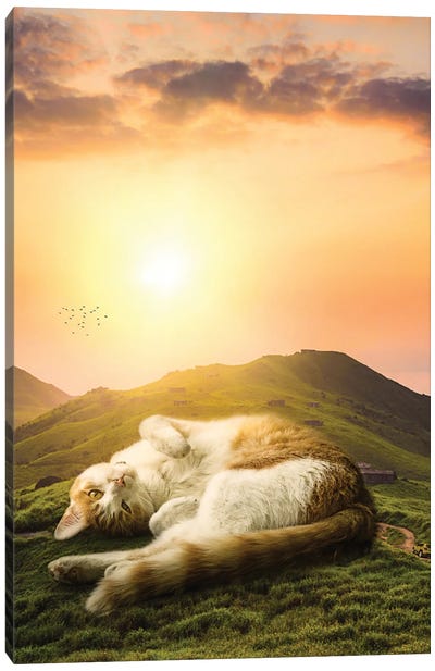 Giant Cat Relaxing On The Hills Canvas Art Print - Gentle Giants
