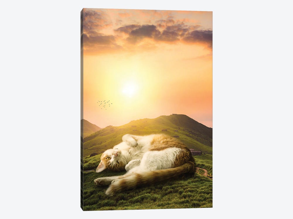 Giant Cat Relaxing On The Hills 1-piece Canvas Art