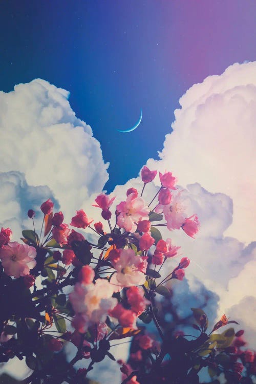 Aesthetic Pink Flowers Crescent Moon And Clouds