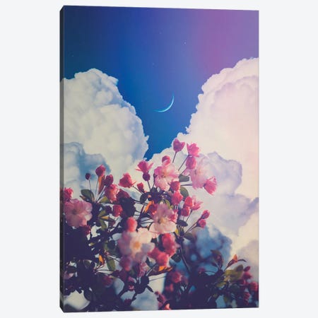 Aesthetic Pink Flowers Crescent Moon And Clouds Canvas Print #GEZ9} by GEN Z Canvas Wall Art