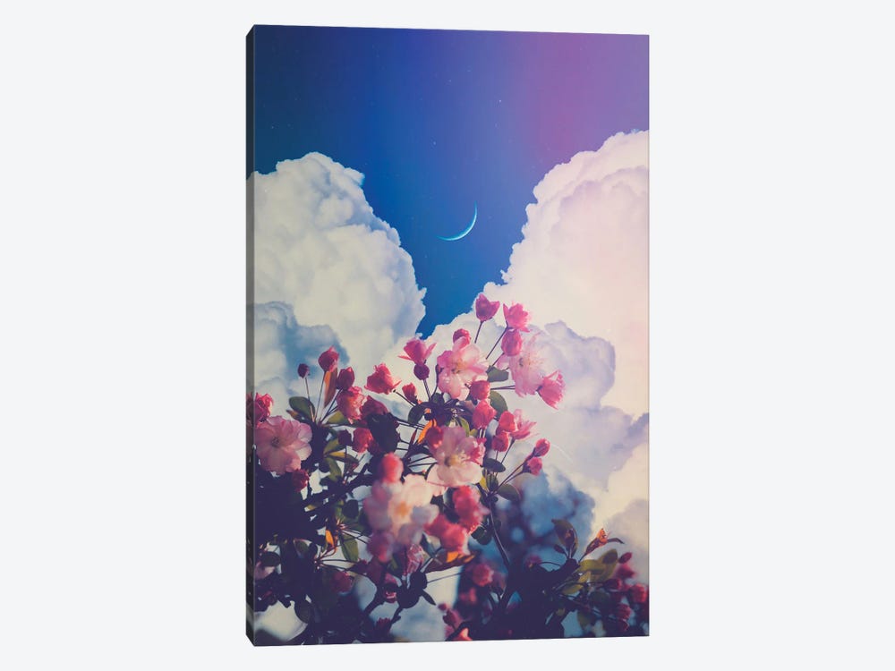 Aesthetic Pink Flowers Crescent Moon And Clouds by GEN Z 1-piece Canvas Wall Art