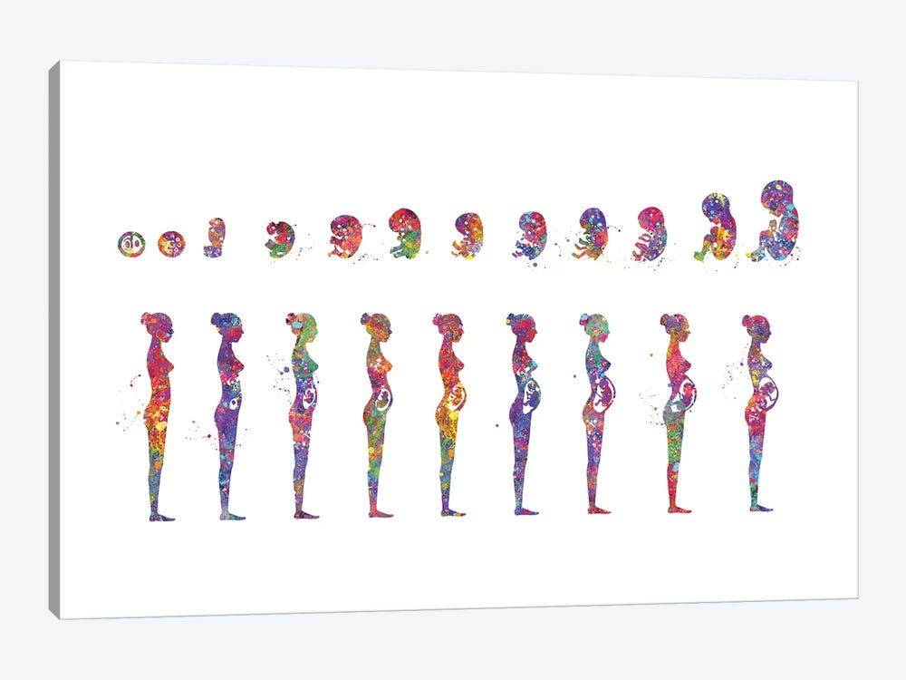Pregnancy Stages by Genefy Art 1-piece Art Print