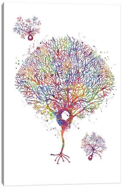 Purkinje Neuron Canvas Art Print