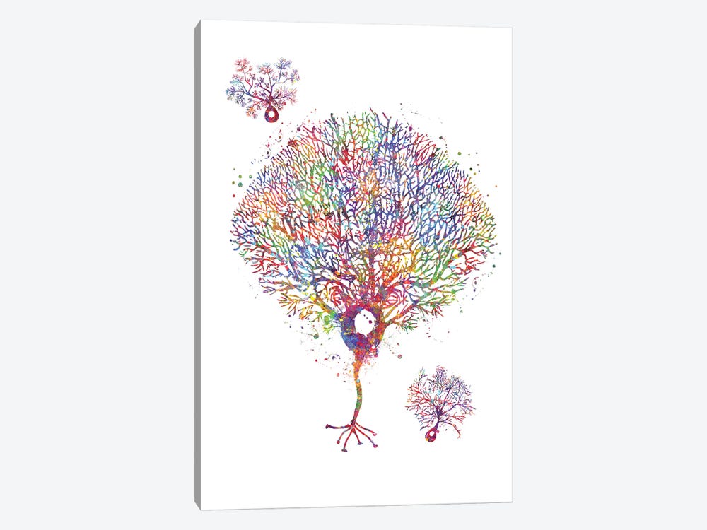 Purkinje Neuron by Genefy Art 1-piece Canvas Art Print