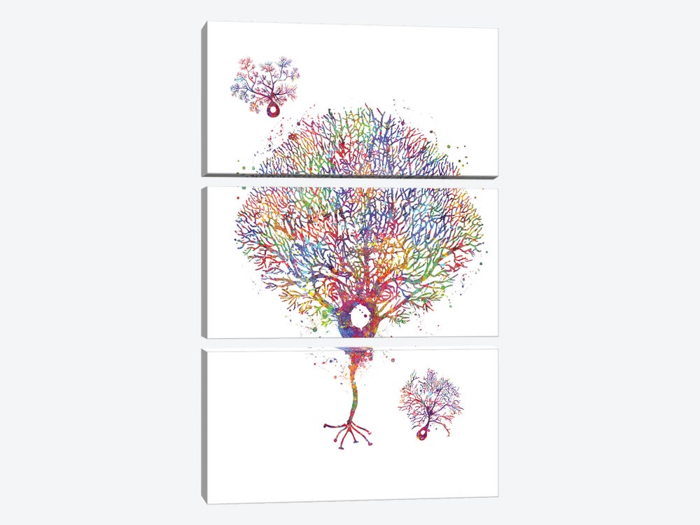 Purkinje Neuron by Genefy Art 3-piece Art Print