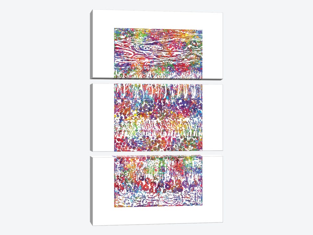 Retina Layers by Genefy Art 3-piece Canvas Art Print
