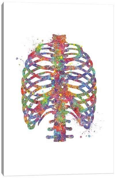Rip Cage Canvas Art Print - Anatomy Art