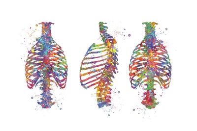 Rip Cage III by Genefy Art canvas print