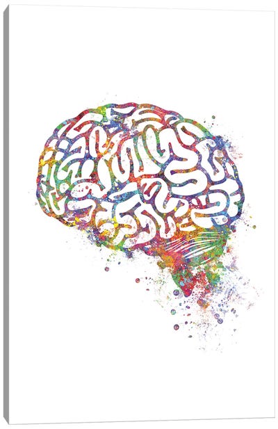 Brain Canvas Art Print - Genefy Art