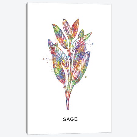 Sage Canvas Print #GFA112} by Genefy Art Canvas Wall Art