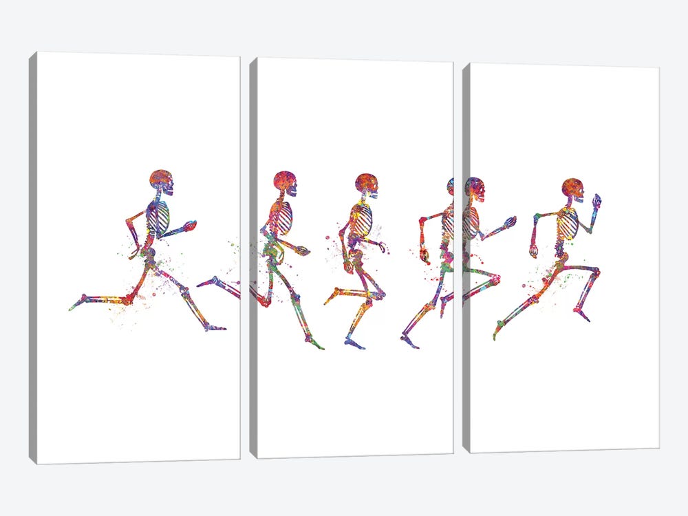 Skeleton Running by Genefy Art 3-piece Canvas Wall Art