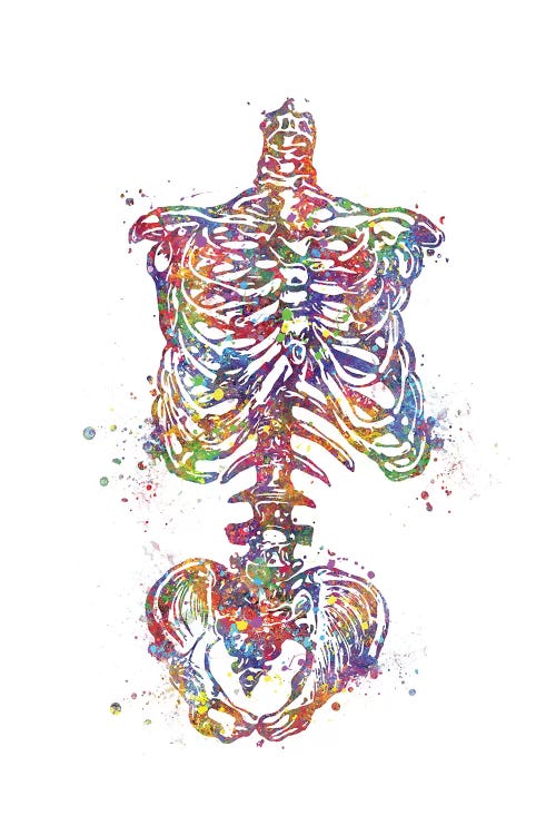 Skeleton Torso by Genefy Art wall art