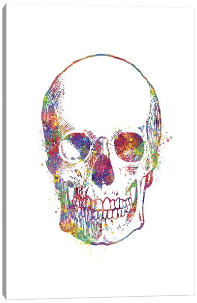 Skull Front Canvas Art Print - Horror Art