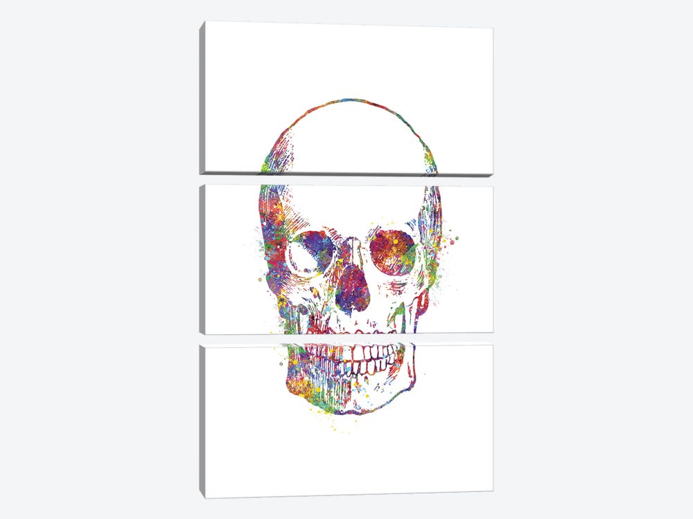 Skull Front by Genefy Art 3-piece Canvas Art Print
