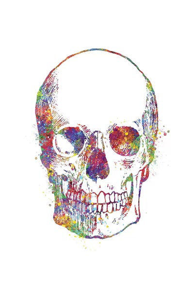 Biology: Skull Front by Genefy Art