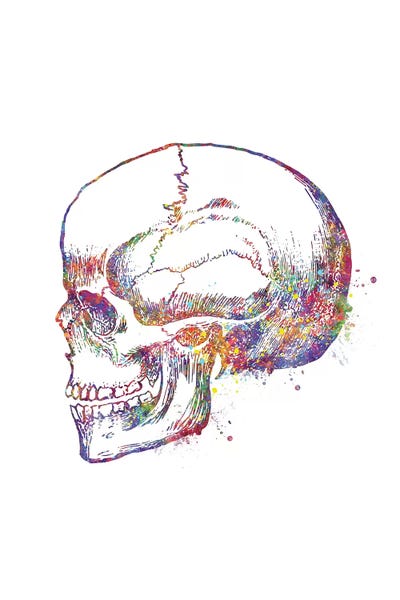 Biology: Skull Left by Genefy Art