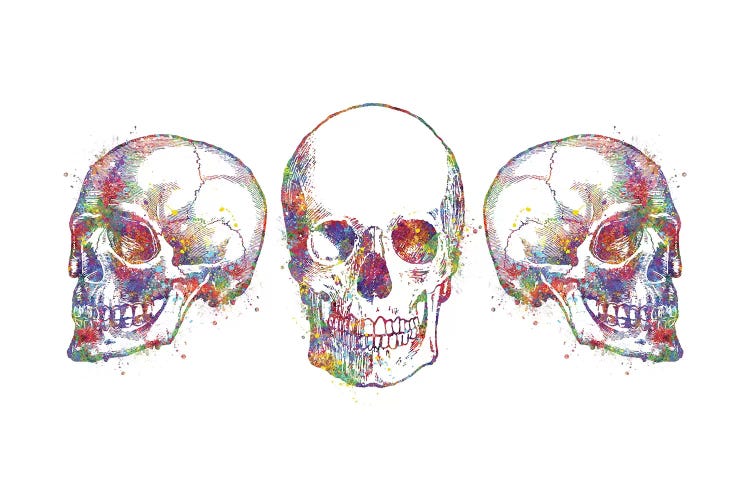 Skull Set III