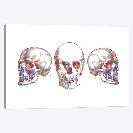 Skull Set III Canvas Print #GFA122} by Genefy Art Canvas Art Print