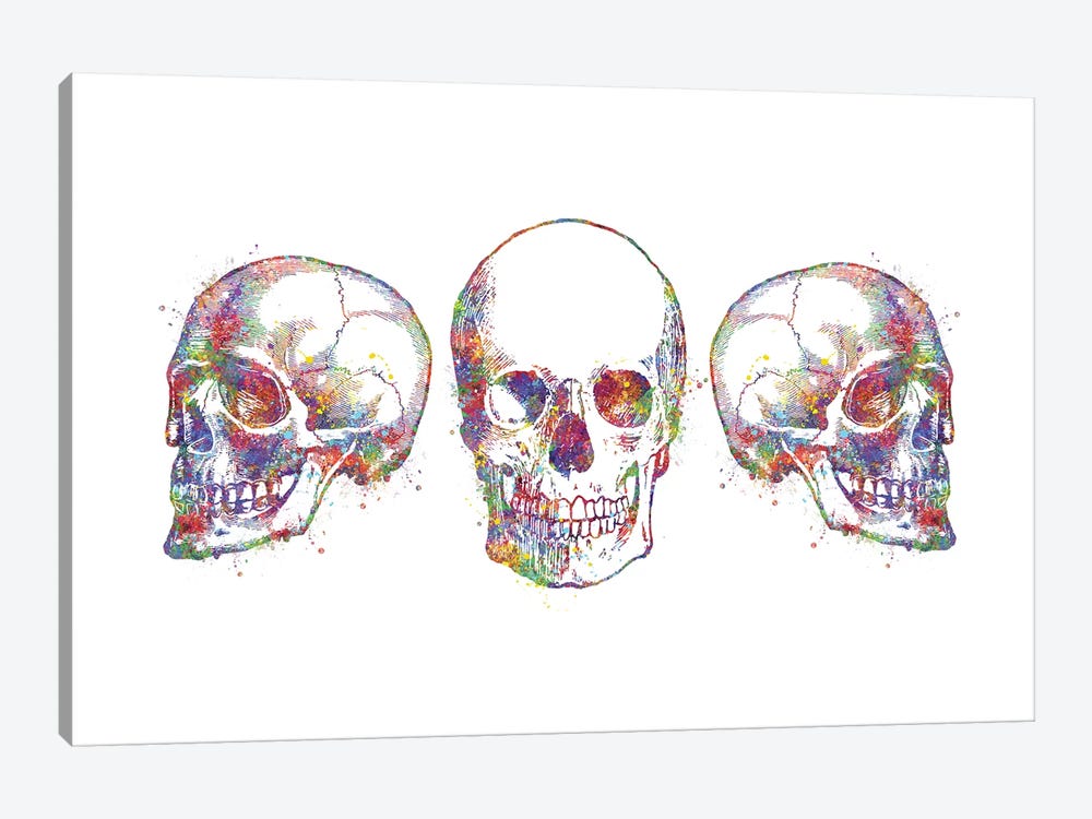 Skull Set III by Genefy Art 1-piece Canvas Art Print