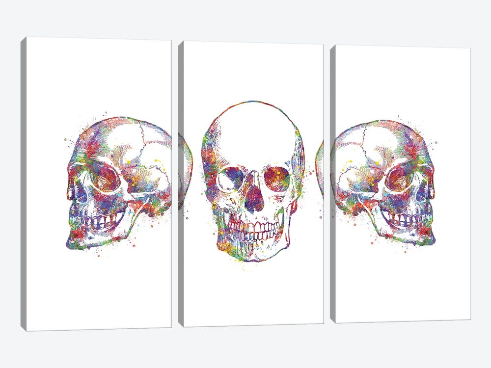 Skull Set III by Genefy Art 3-piece Art Print