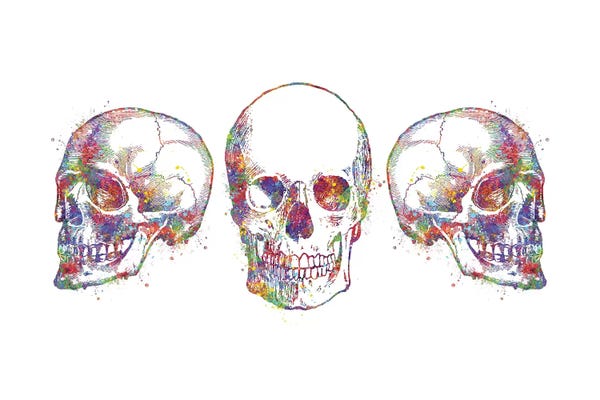 Biology: Skull Set III by Genefy Art