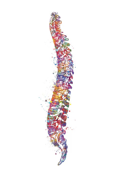 Spinal Cord I by Genefy Art wall art