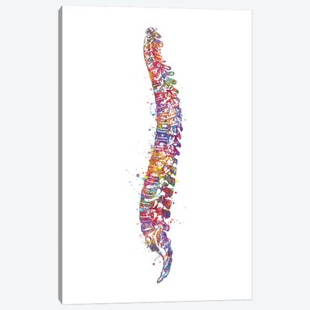 Spinal Cord I Canvas Print #GFA123} by Genefy Art Art Print