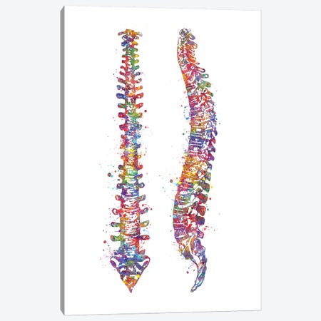 Spinal Cord II Canvas Print #GFA124} by Genefy Art Canvas Art