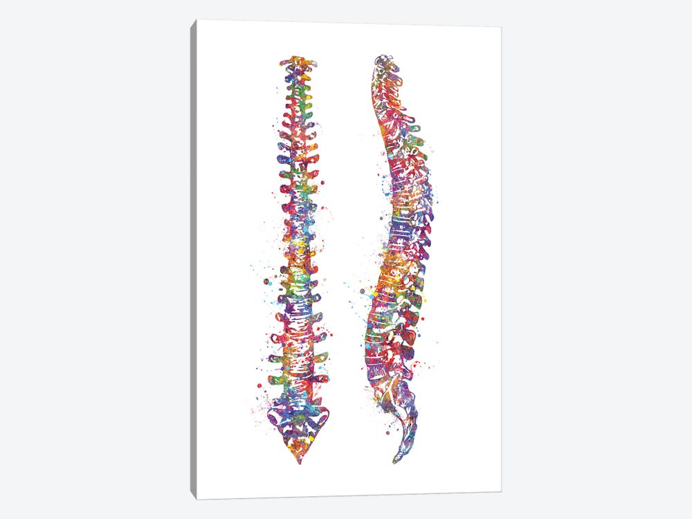 Spinal Cord II by Genefy Art 1-piece Art Print