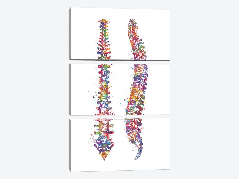 Spinal Cord II by Genefy Art 3-piece Canvas Art Print