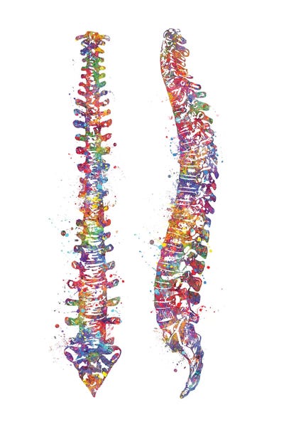 Skeletons: Spinal Cord II by Genefy Art