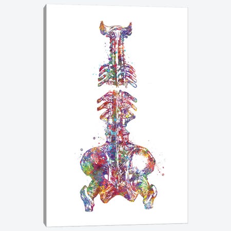 Spine Pelvis Canvas Print #GFA125} by Genefy Art Canvas Art
