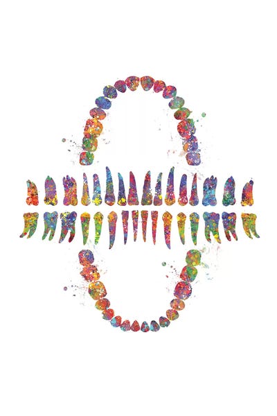 Kids Educational Art: Teeth by Genefy Art
