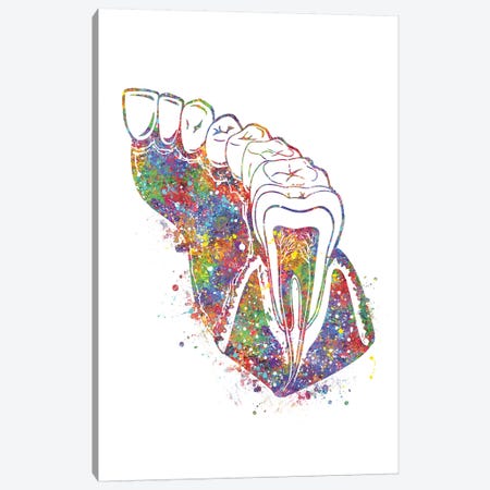 Teeth Molar Canvas Print #GFA132} by Genefy Art Canvas Artwork