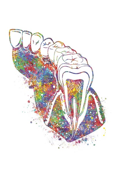 Biology: Teeth Molar by Genefy Art