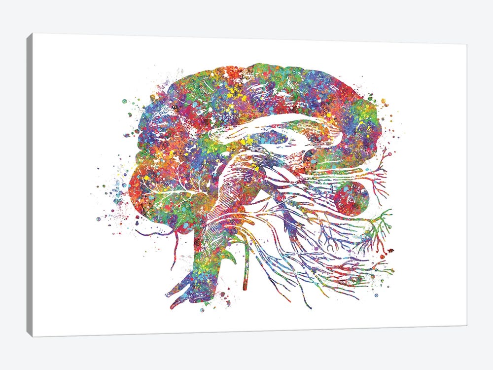 Brain Cranial by Genefy Art 1-piece Canvas Art