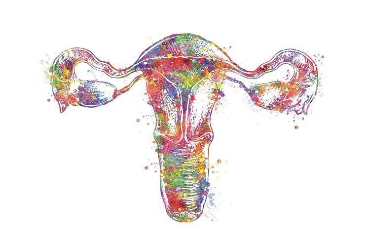 Uterus by Genefy Art wall art