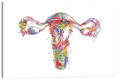 Uterus Canvas Art Print - Body Positivity Art