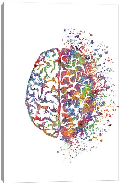 Brain Left Right Canvas Art Print - Science Art