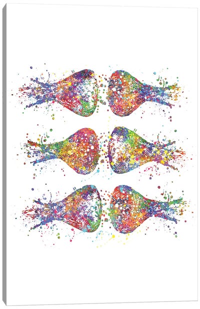 Brain Synapses Canvas Art Print - Anatomy Art