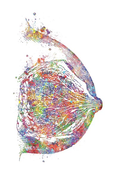Biology: Breast by Genefy Art