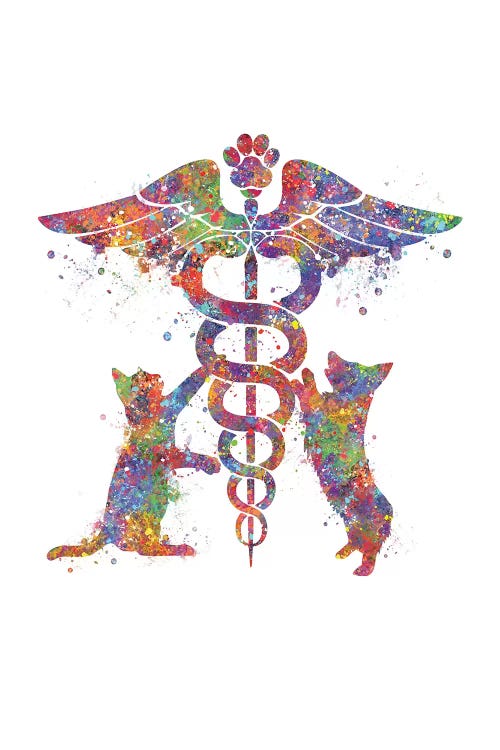 Caduceus Vet Cat by Genefy Art wall art