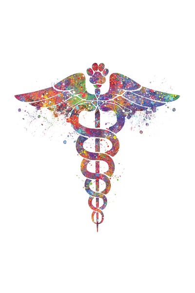 Caduceus Vet Paw by Genefy Art canvas print