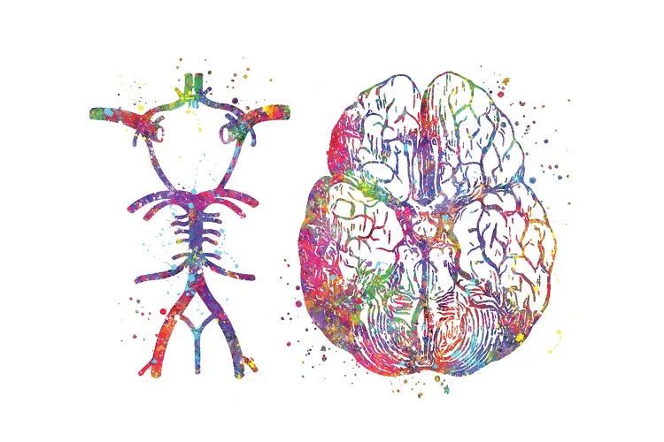 Circle Of Willis by Genefy Art wall art