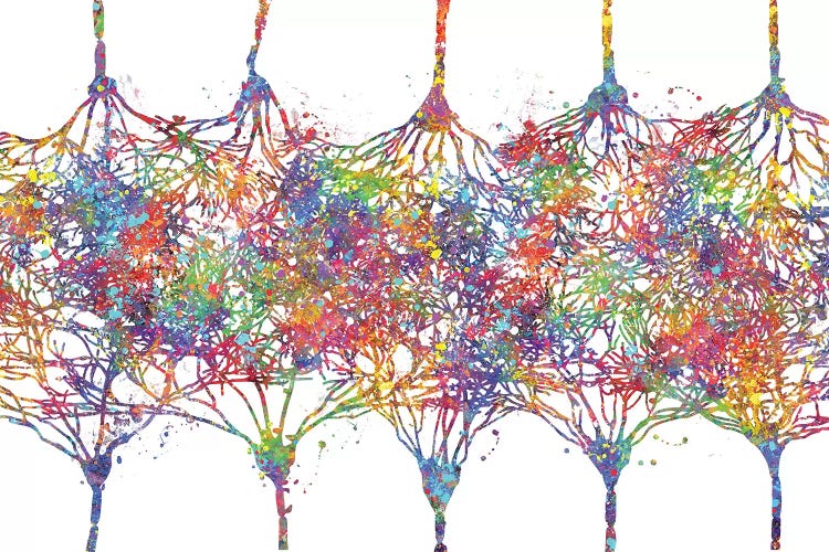 Cortical Neurons