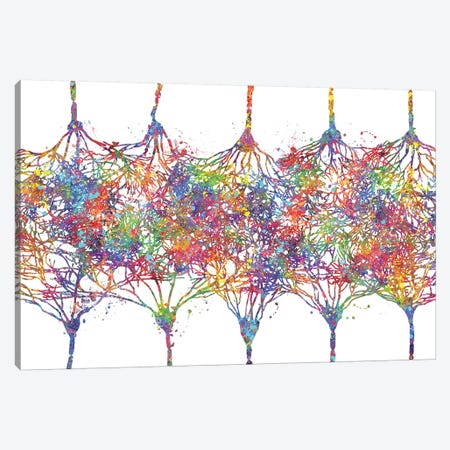 Cortical Neurons Canvas Print #GFA26} by Genefy Art Canvas Print