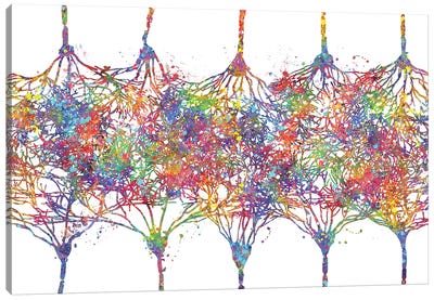 Cortical Neurons Canvas Art Print - Science Art