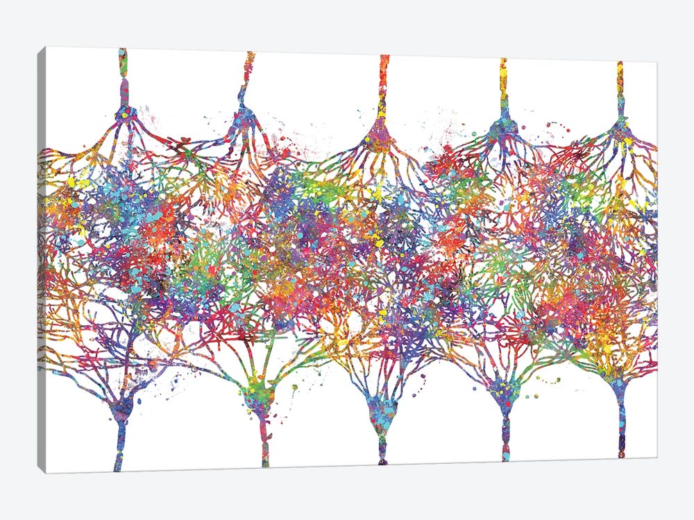 Cortical Neurons by Genefy Art 1-piece Canvas Artwork